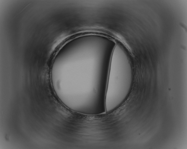 X0000093151360200709261008