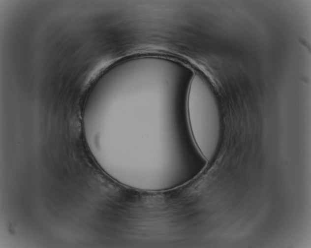 X0000093151363200709261008