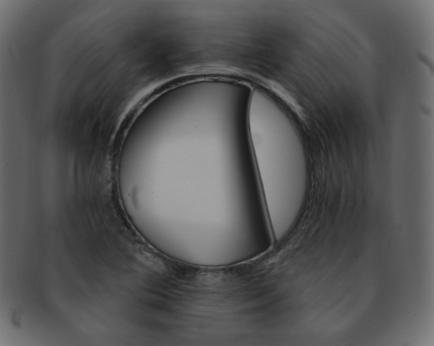 X0000093151364200709261008