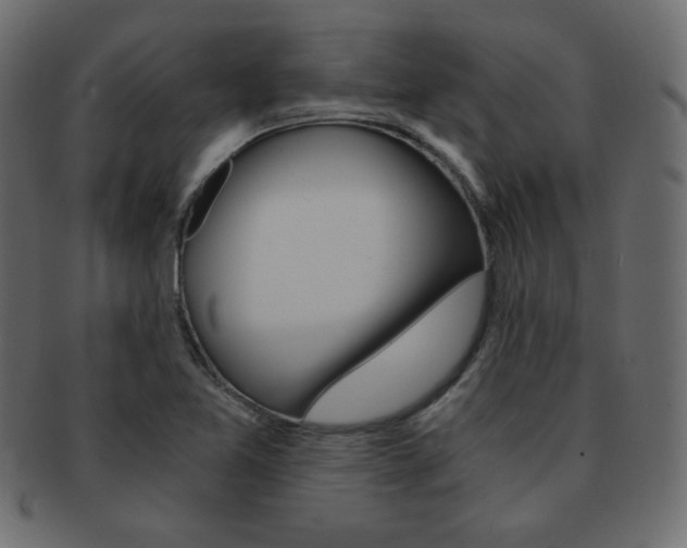X0000093151365200709261008
