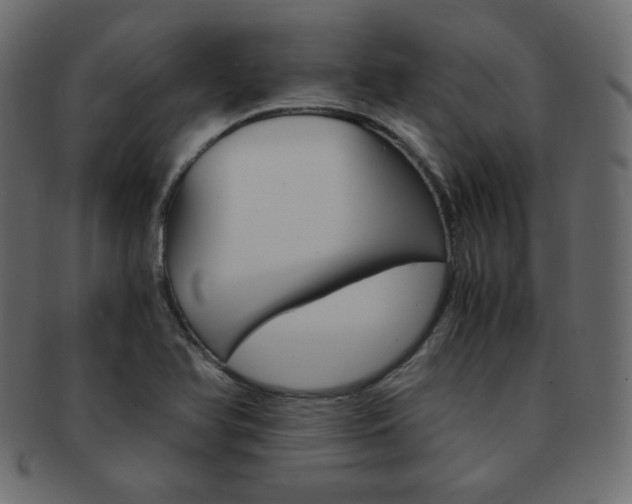 X0000093151366200709261008