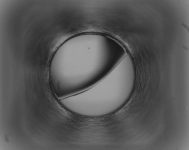 X0000093151367200709261008