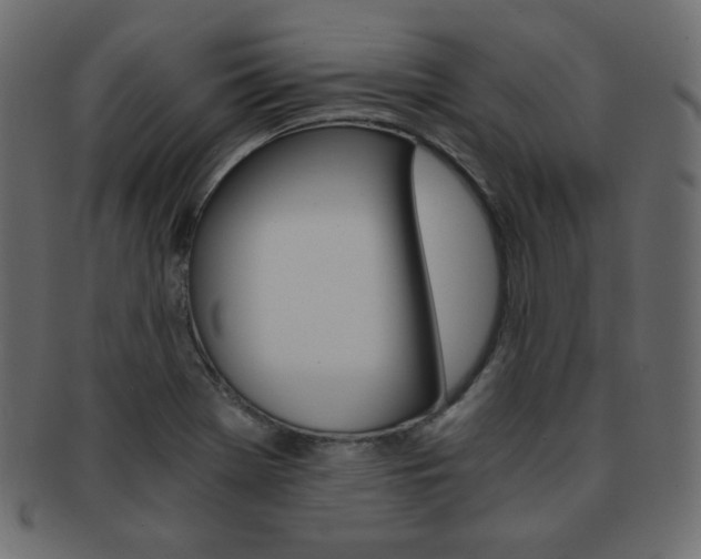 X0000093151369200709261008