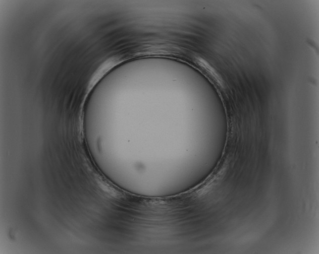 X0000093151370200709261008