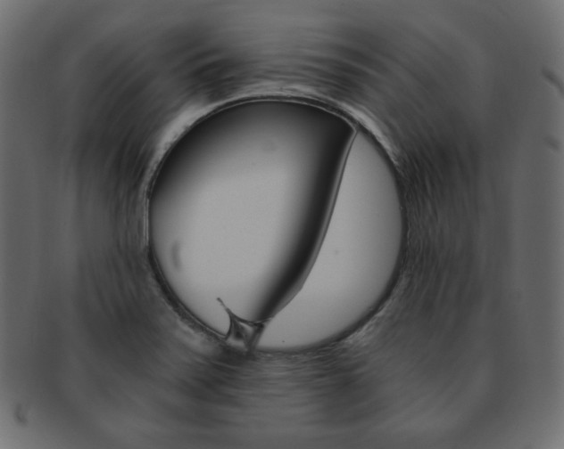 X0000093151371200709261008