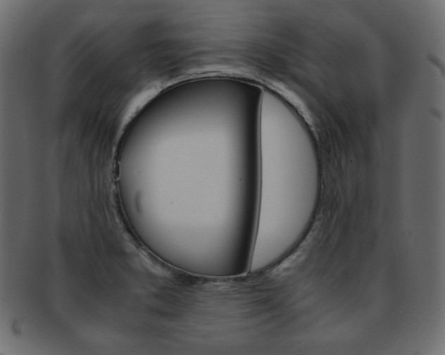 X0000093151373200709261008