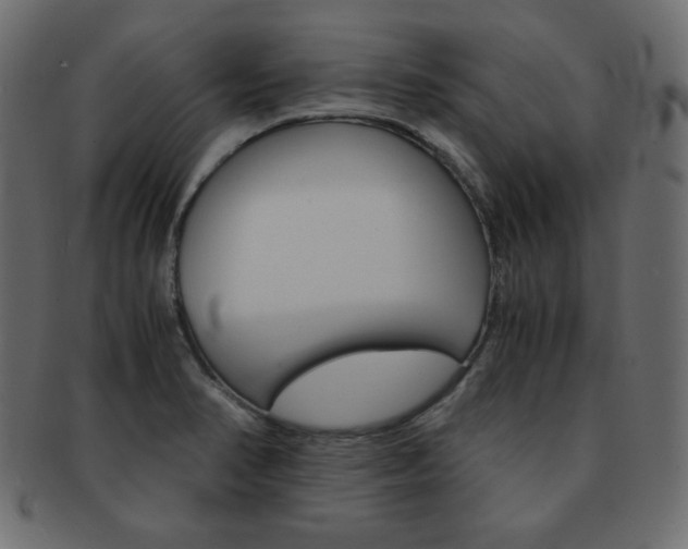 X0000093151374200709261008