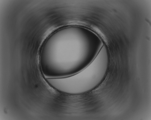 X0000093151376200709261008