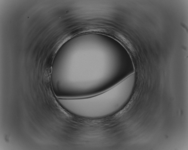 X0000093151377200709261008
