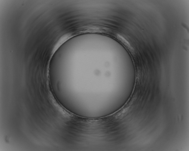 X0000093151378200709261008