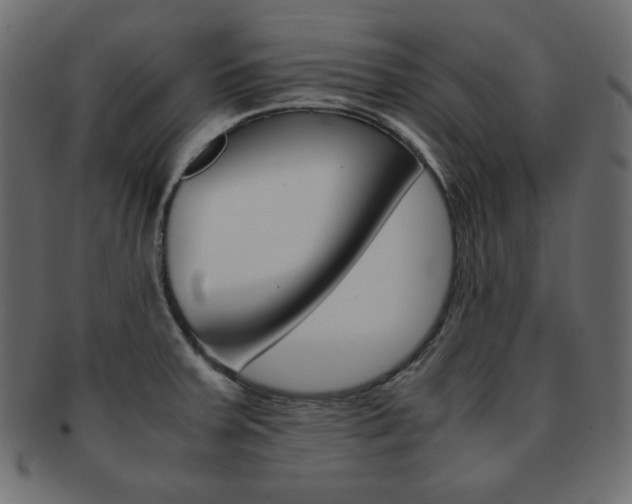 X0000093151379200709261008