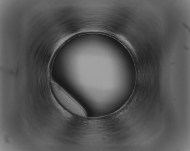 X0000093151380200709261008