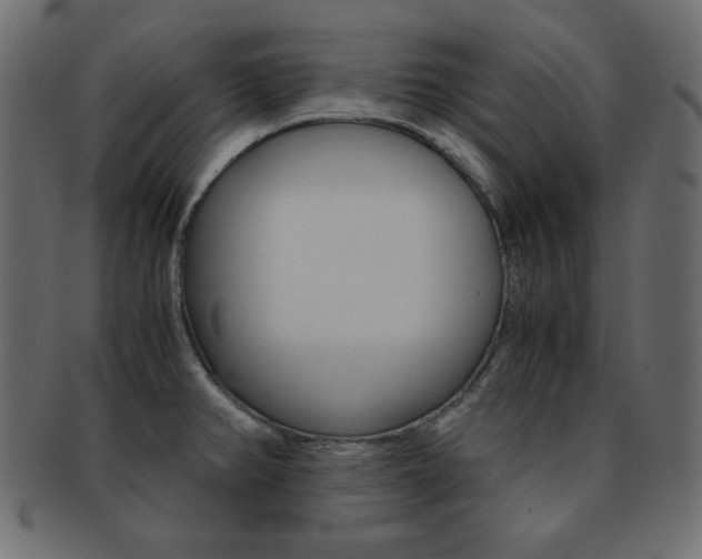 X0000093151382200709261008