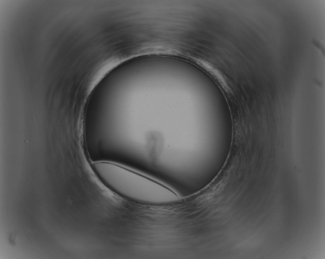 X0000093151383200709261008