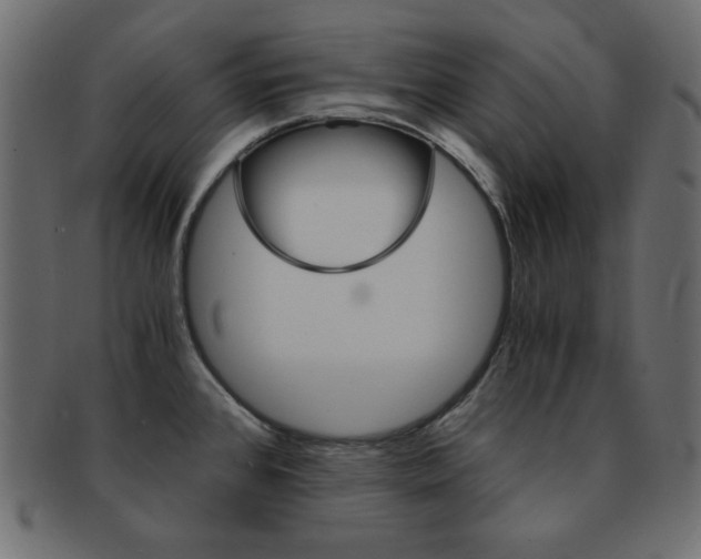 X0000093151384200709261008