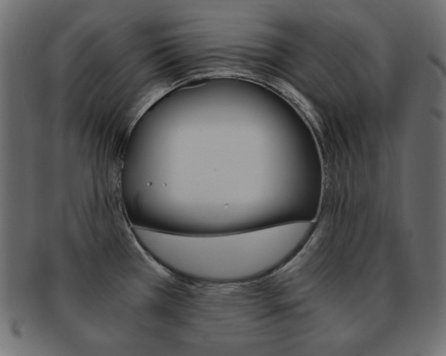 X0000093151385200709261008