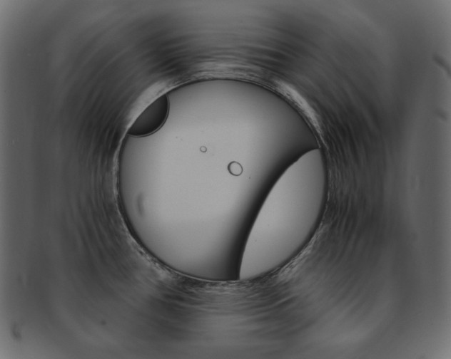 X0000093151386200709261008