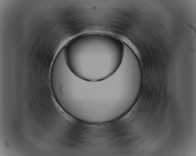 X0000093151388200709261008