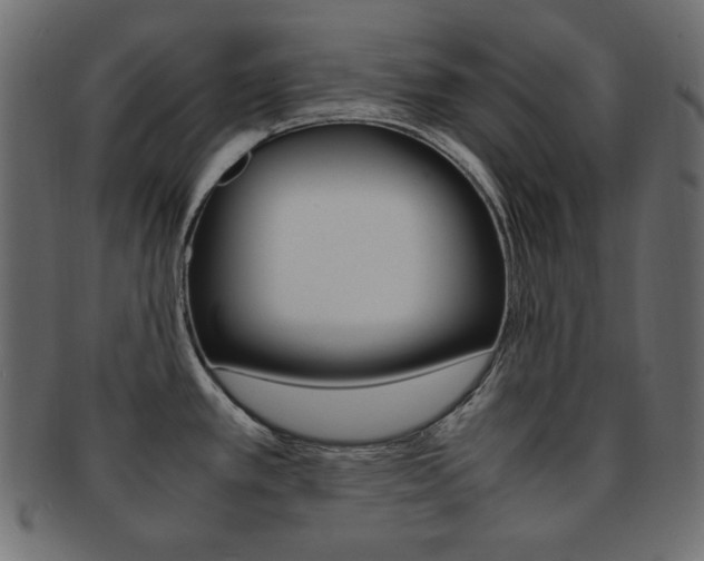 X0000093151389200709261008