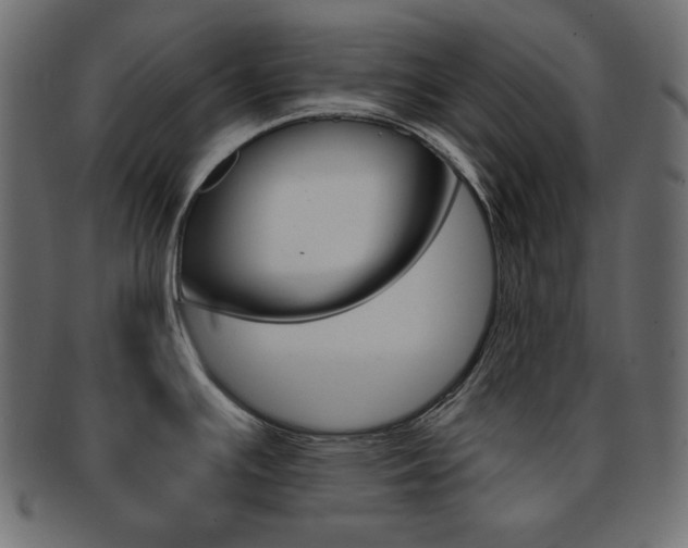 X0000093151391200709261008