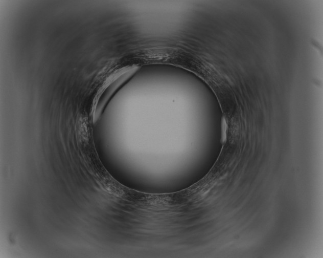X0000093151394200709261007