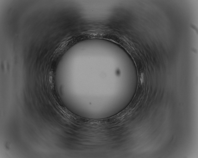 X0000093151396200709261007