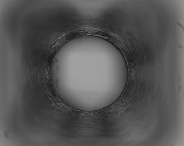X0000093151397200709261007