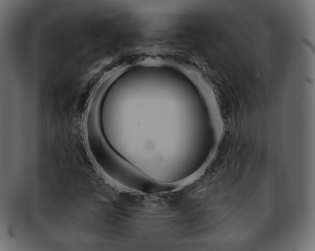 X0000093151398200709261007