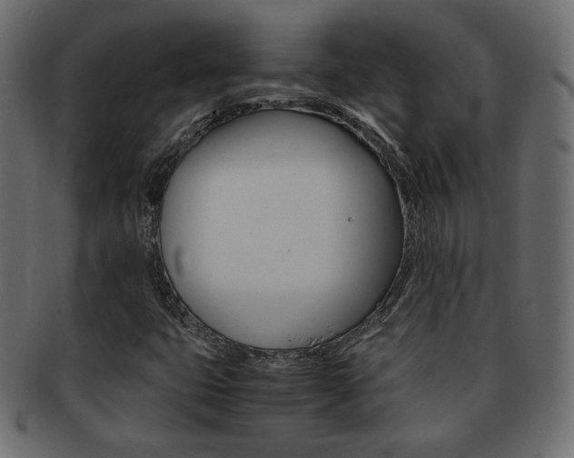 X0000093151399200709261007