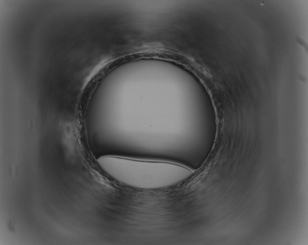 X0000093151400200709261007