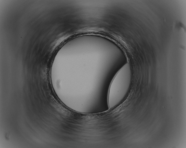 X0000093151404200709261007