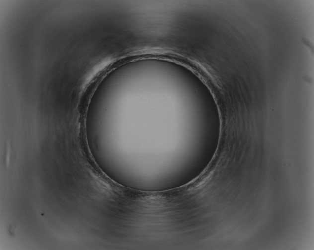 X0000093151406200709261007