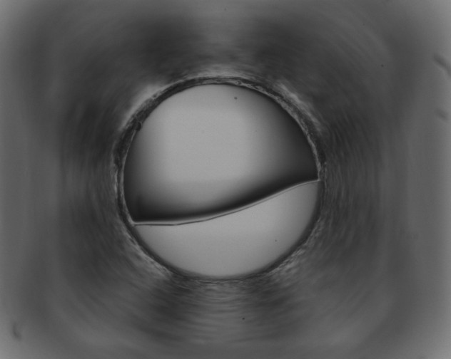 X0000093151408200709261007