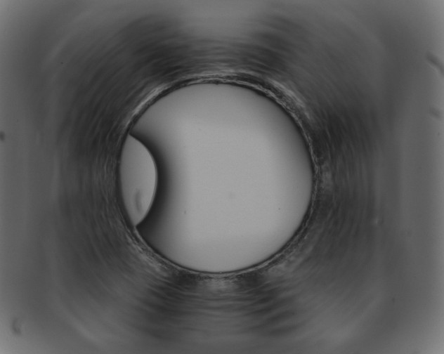 X0000093151409200709261007