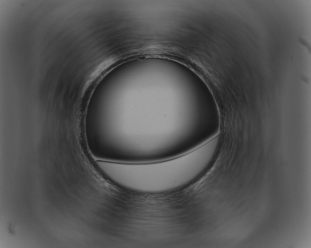 X0000093151410200709261007