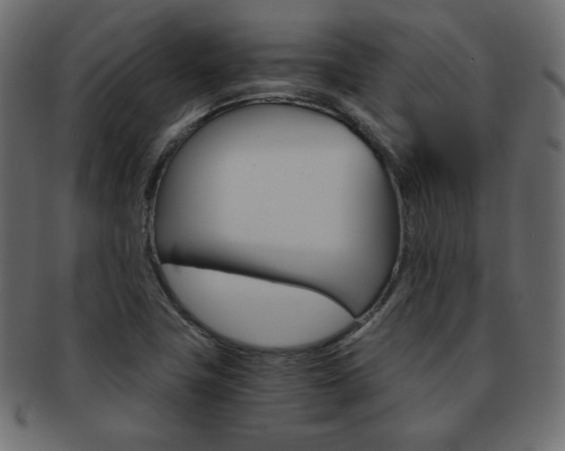 X0000093151411200709261007