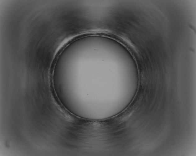 X0000093151412200709261007