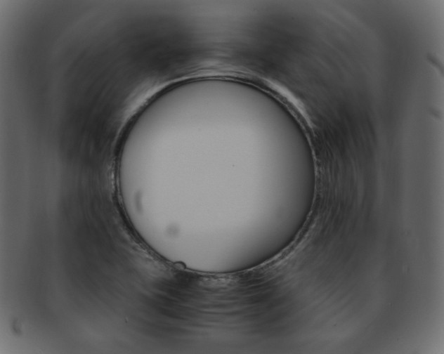 X0000093151415200709261007