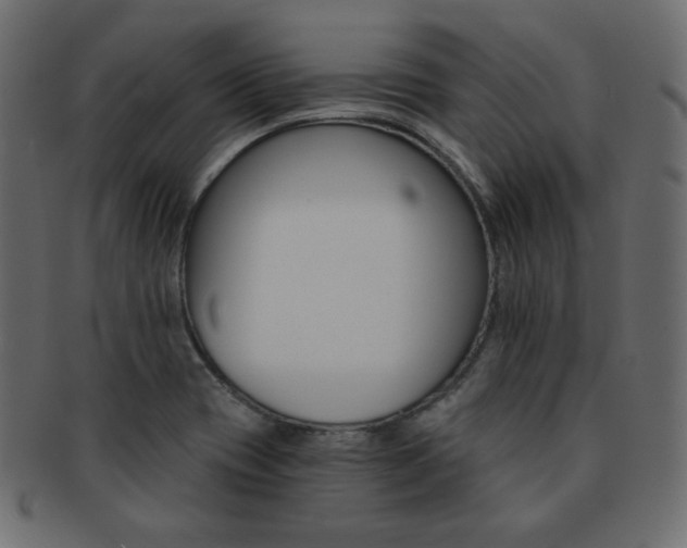 X0000093151417200709261007