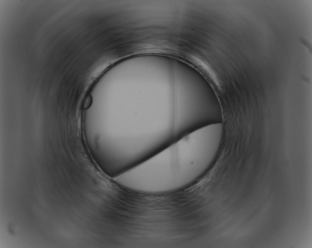 X0000093151419200709261007