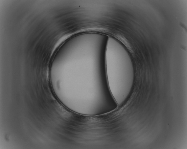 X0000093151420200709261007