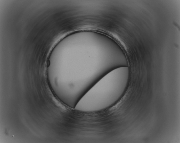 X0000093151421200709261007