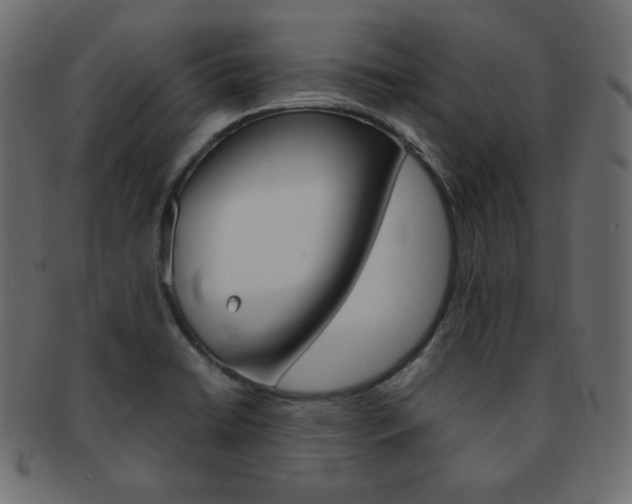 X0000093151422200709261007