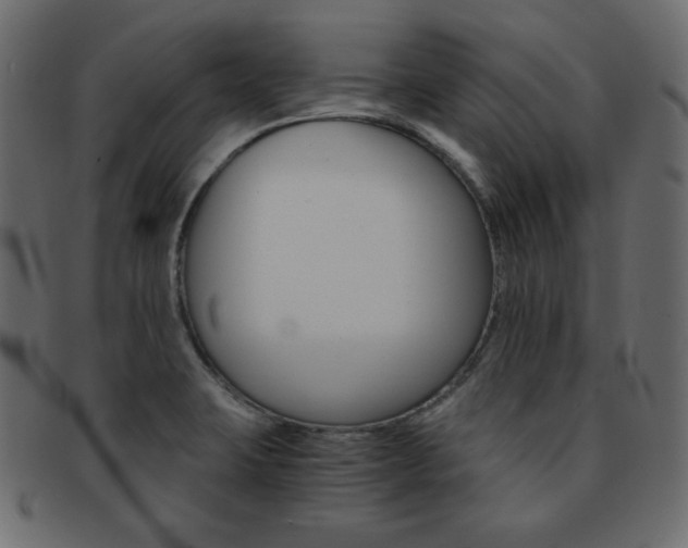 X0000093151423200709261007
