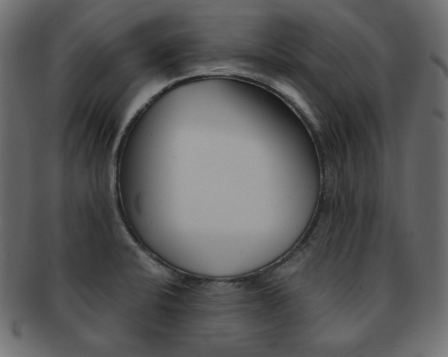 X0000093151424200709261007