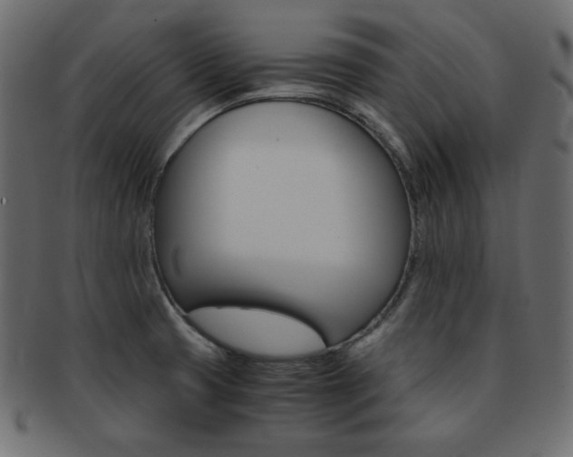 X0000093151425200709261007