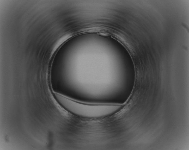 X0000093151426200709261007