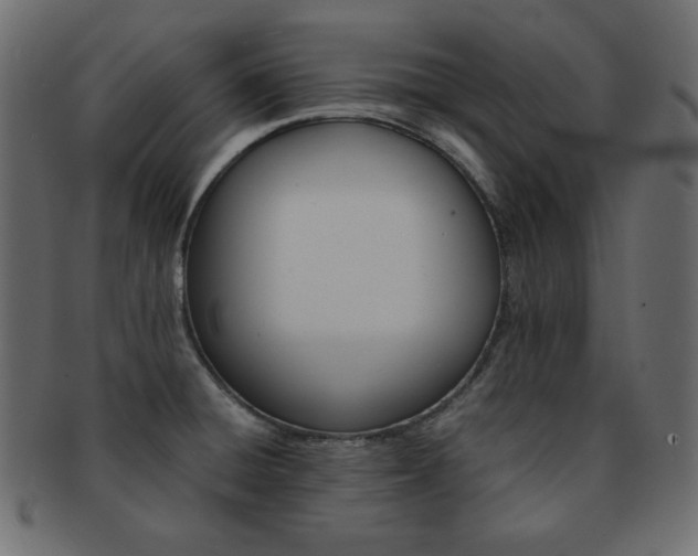 X0000093151428200709261007