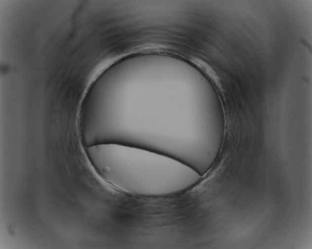 X0000093151429200709261007
