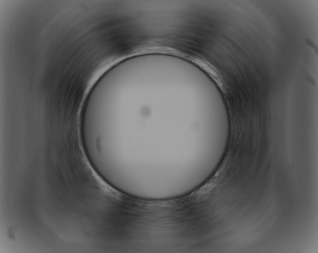 X0000093151430200709261007